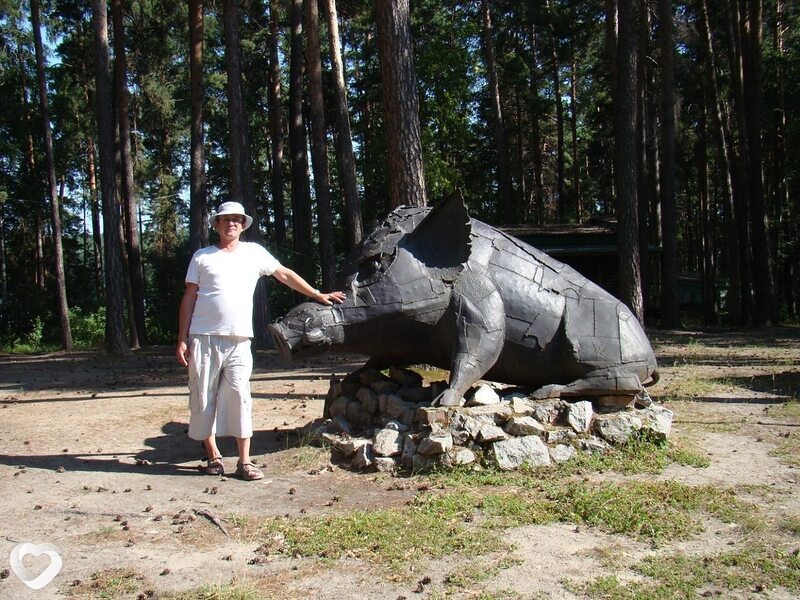 Станислав, 63, Искитиме — анкета №656832
