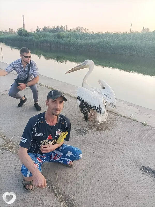 Александр, 45, Мариуполе — анкета №9881