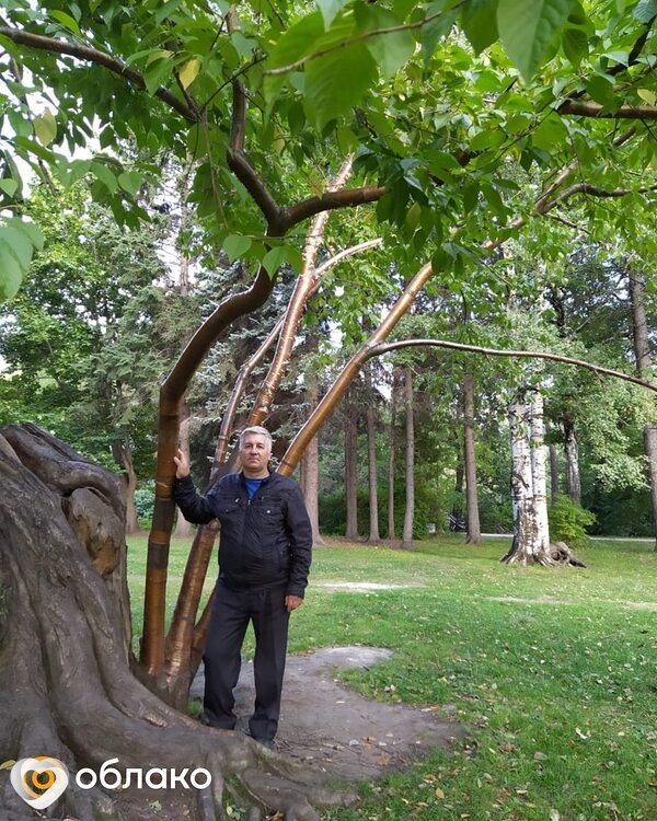 Владимир, Асбест