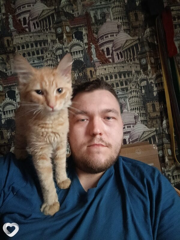 Дима, 32, Дмитрове — анкета №657838
