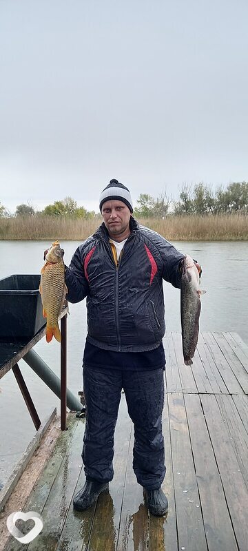 Андрей, 43, Орше — анкета №659644