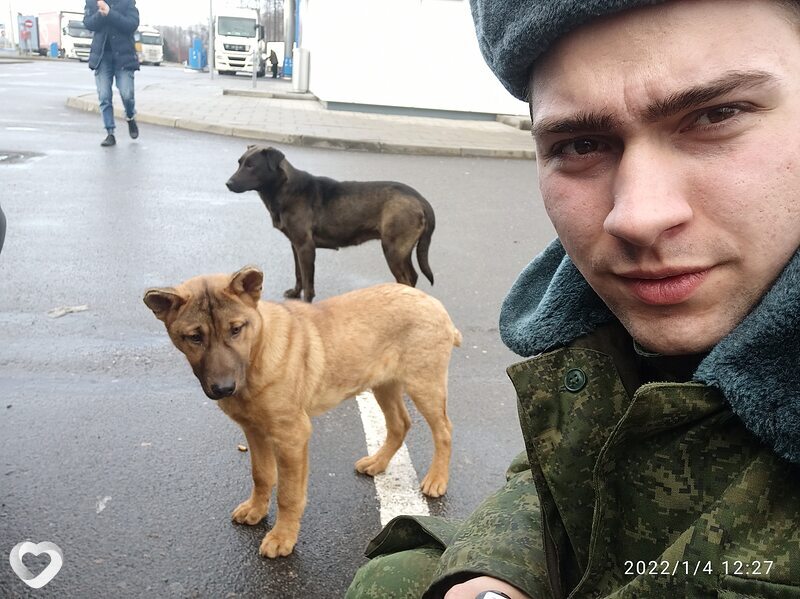 Вадим, 25, Гродно — анкета №660363