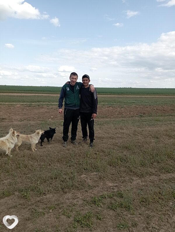 Юрий, 37, Волгограде — анкета №663864