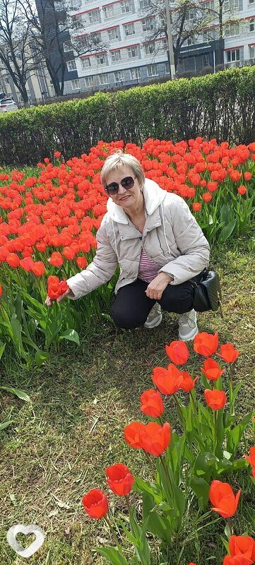 Алла, 61, Белгороде — анкета №664292