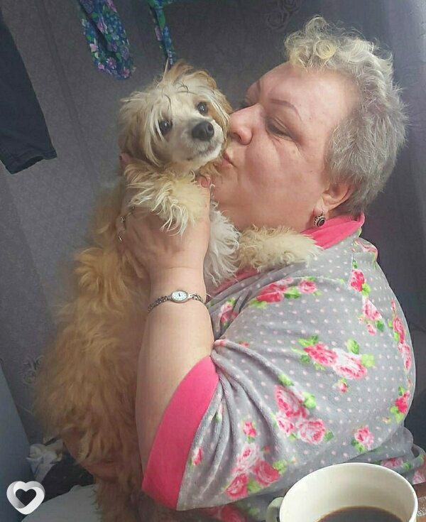 Светлана, 56, Александрове — анкета №666321