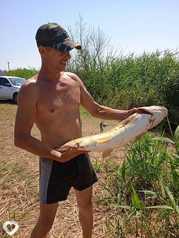 Влад, 51, Саратове — анкета №667680