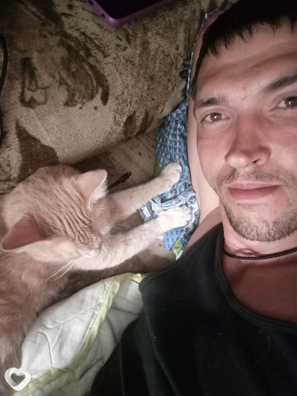 Алексей, 33, Ульяновске — анкета №668039