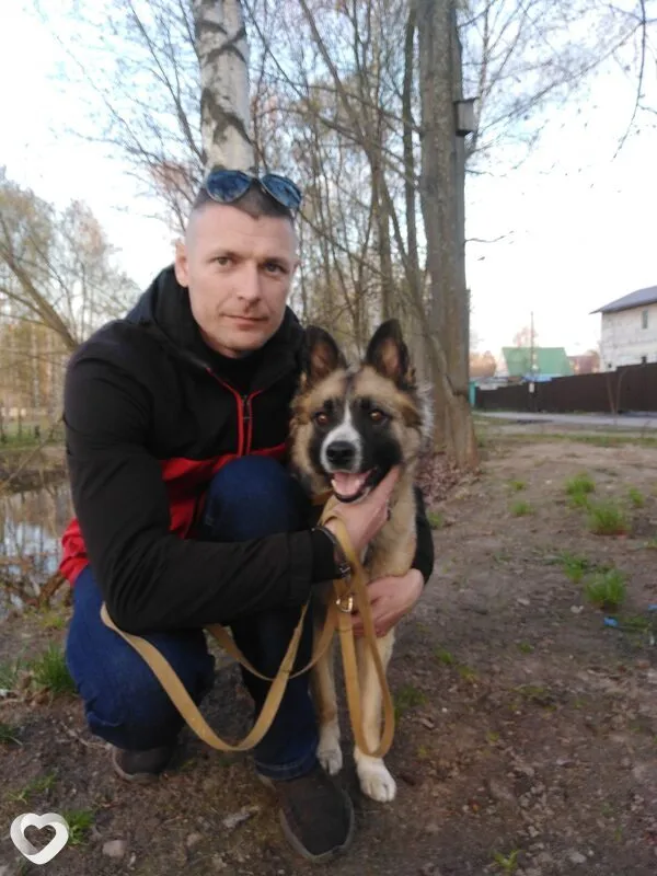 Андрей, 41, Светлогорске — анкета №9941