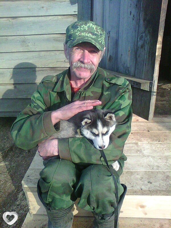 Владимир, Плесецк