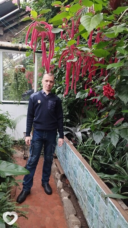 Алексей, 43, Амурске — анкета №671568