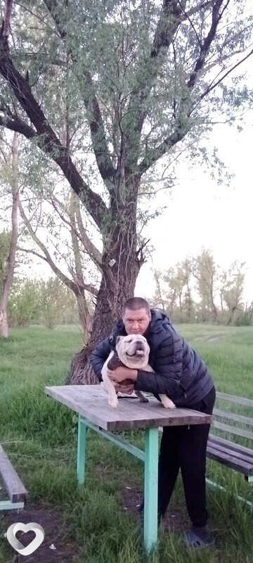 Евгений, 35, Ростове-на-Дону — анкета №672031