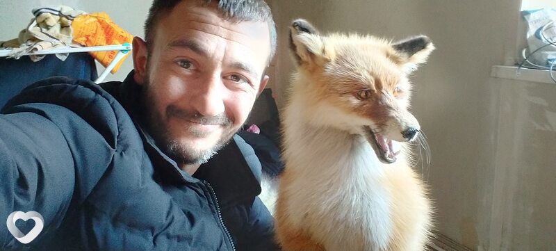 Иван, 43, Братске — анкета №676086