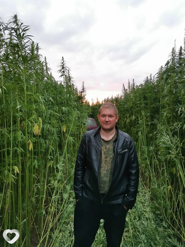 Александр, 36, Иванове — анкета №679620
