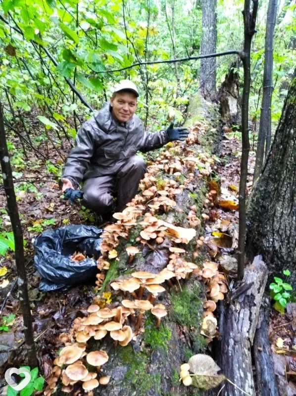 Хулиган, 51, Дальнереченске — анкета №9979