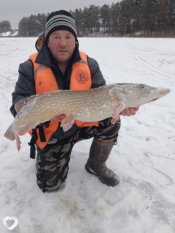 Андрей, 41, Островце — анкета №681074