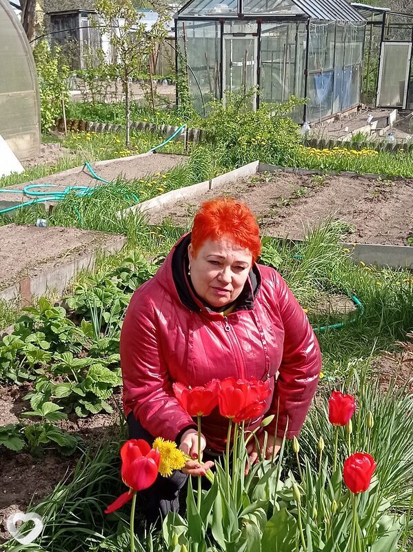 Елена, 59, Коврове — анкета №682793