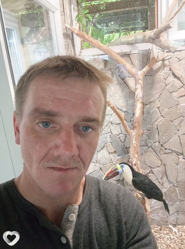 Atfef, Золотоноша