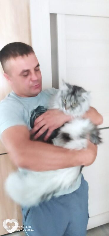 Толян, 38, Москве — анкета №684176