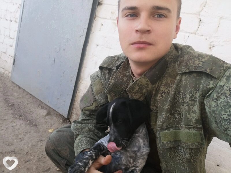 Владимир, 25, Кунгуре — анкета №684762