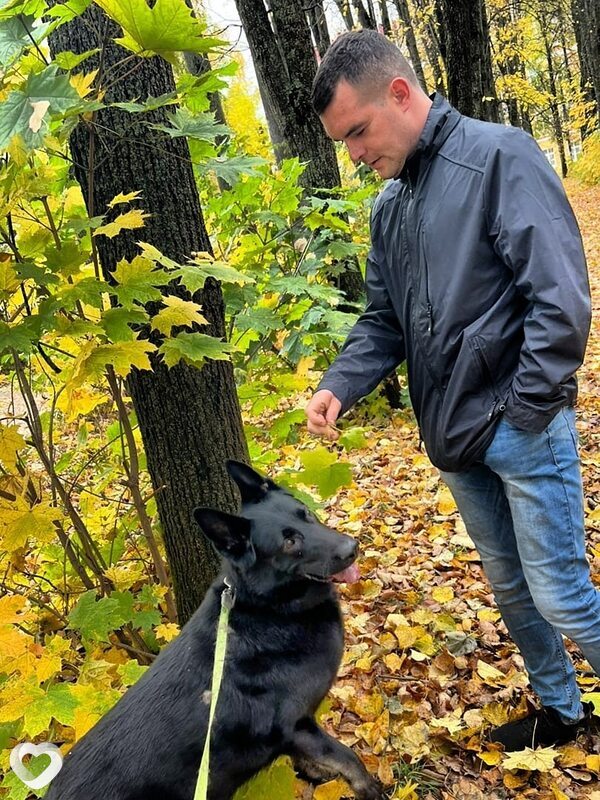 Дима, 39, Хабаровске — анкета №685857