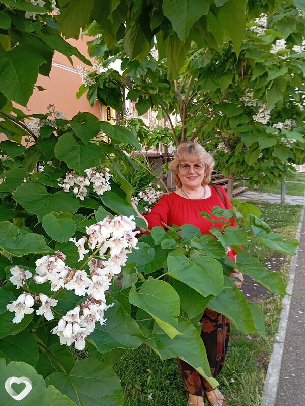 Галина, 69, Краснодаре — анкета №688206