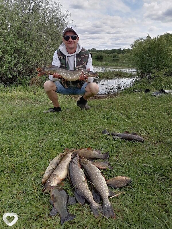 Александр, 50, Мозыре — анкета №688181