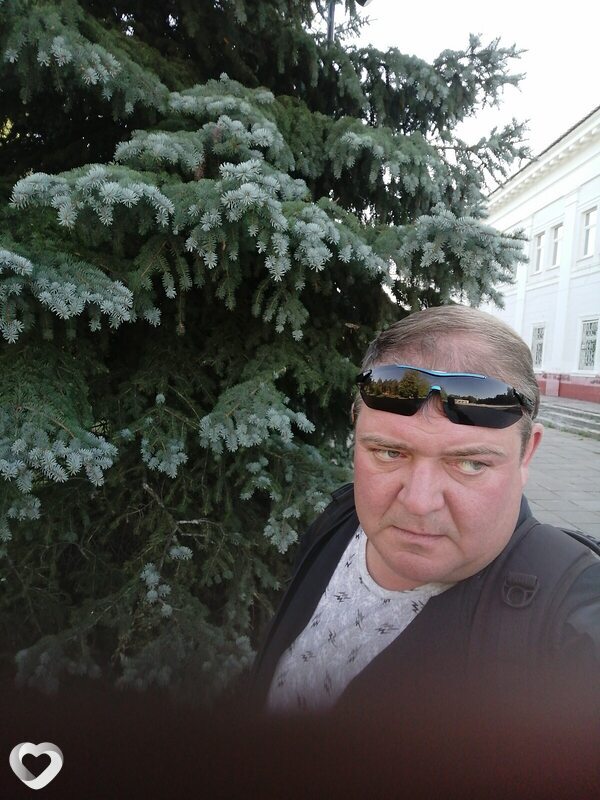 Владимир, Гороховец