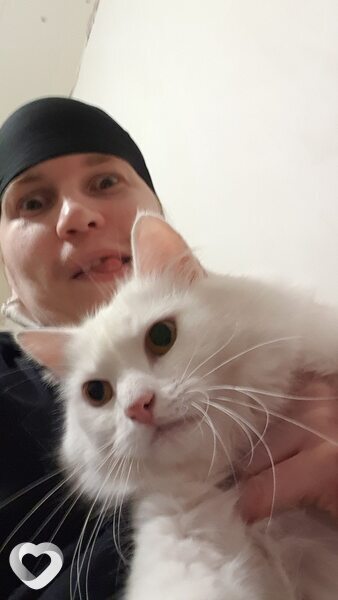 Котофей, 41, Минске — анкета №692066