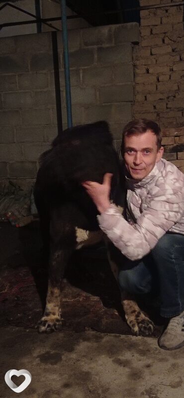 Дмитрий, 42, Бишкек — анкета №696011