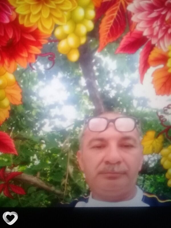 Роман, Гамбург