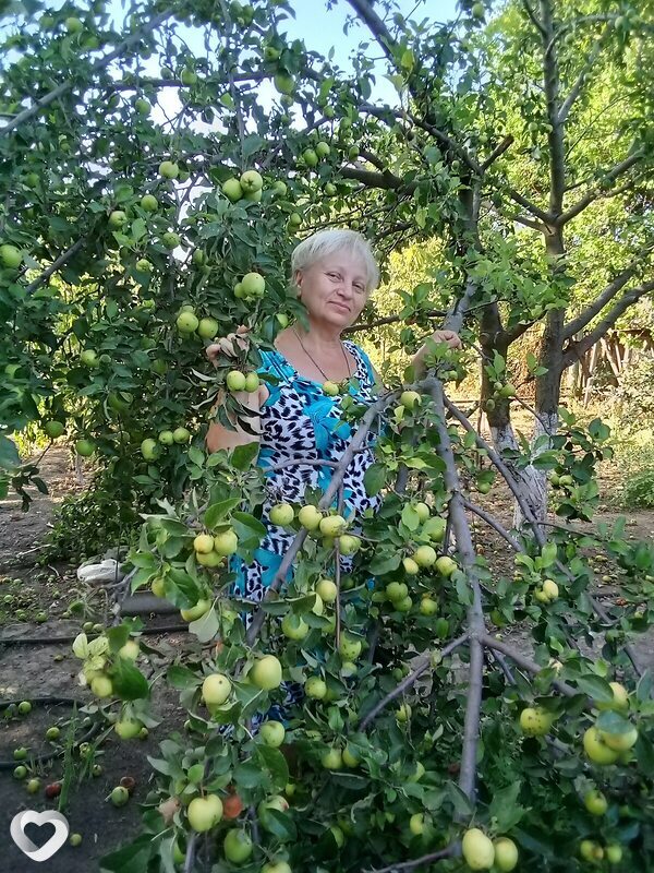 Любовь, 61, Шахтах — анкета №698406