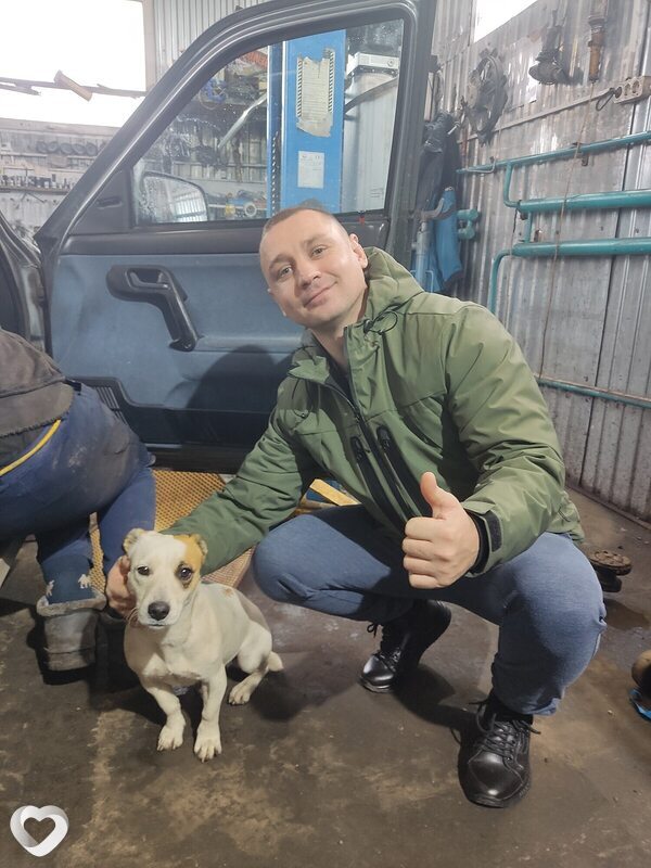 Владимир, 35, Самаре — анкета №702158