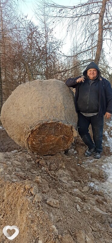 Дима, Мглин