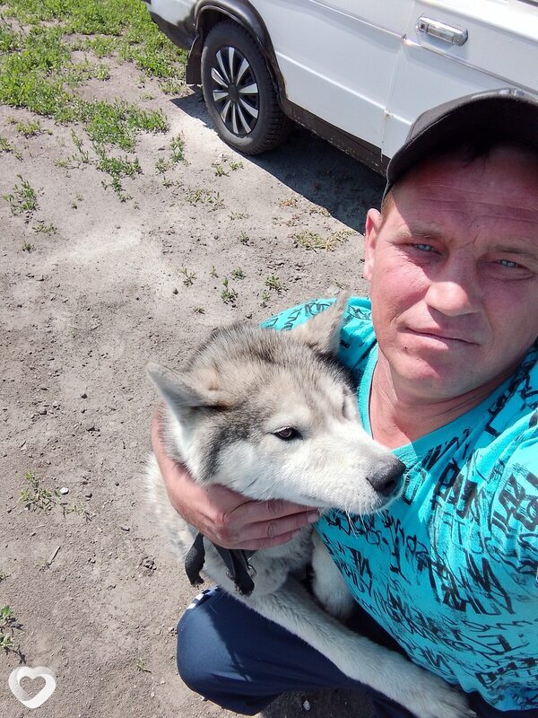Дмитрий, 42, Владимире — анкета №702528