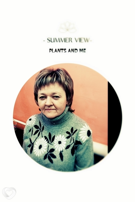 Валентина, 52, Вологде — анкета №703324