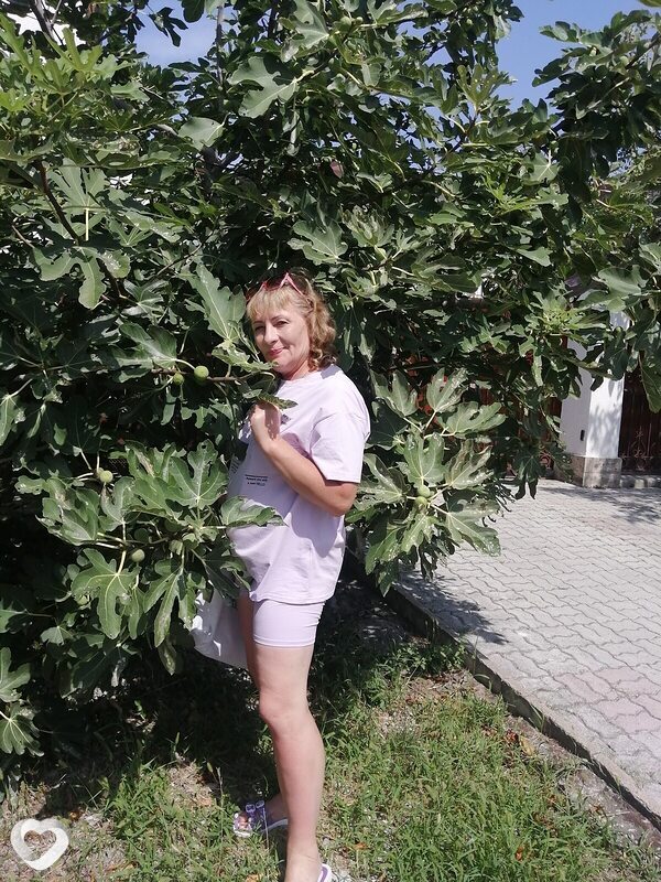 Елена, 52, Челябинске — анкета №709007
