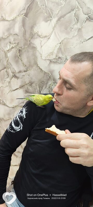 Сергей, 43, Тюмени — анкета №711061