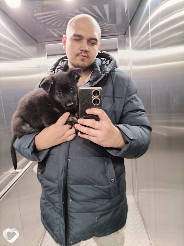 Антон, 27, Новосибирске — анкета №714592