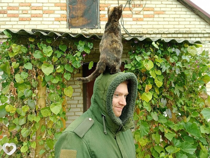 Илья, 34, Туле — анкета №716117