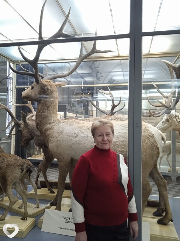Наталья, 64, Санкт-Петербурге — анкета №718405