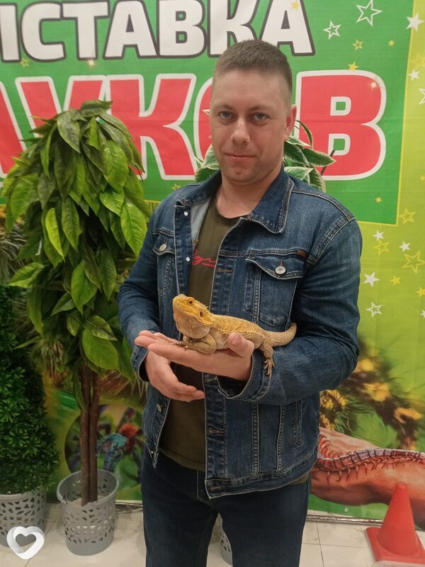 Олег, 35, Харцызске — анкета №722638