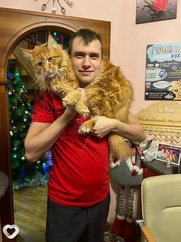 Никита, 38, Владимире — анкета №722744