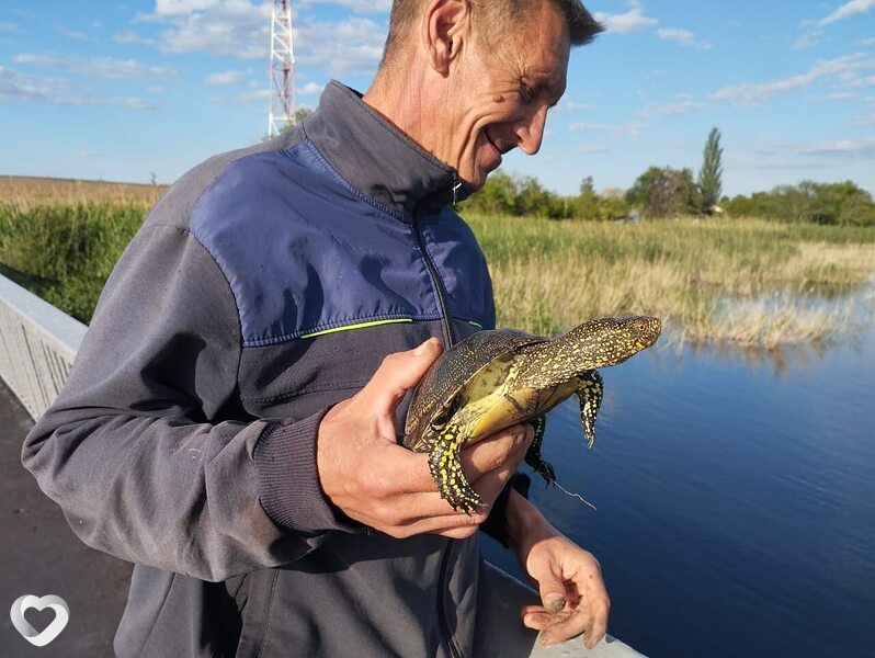 Генндий, 50, Адлер — анкета №728871