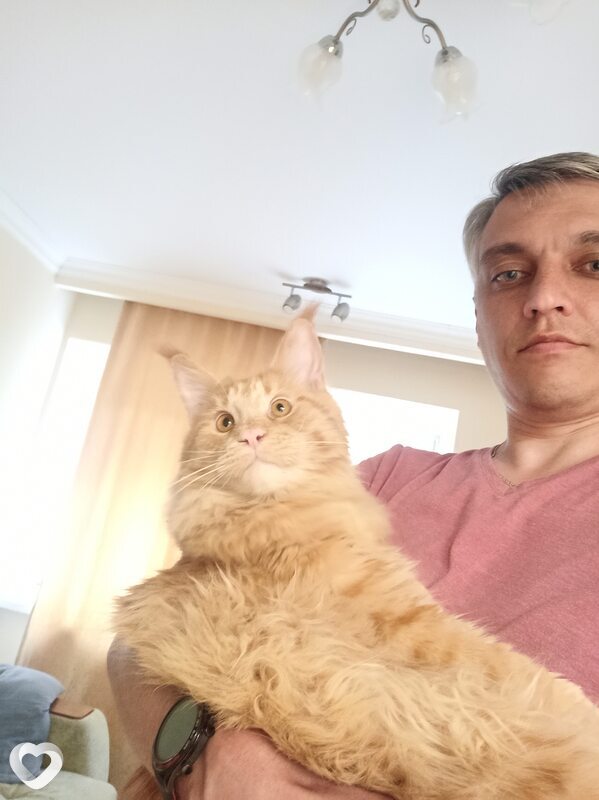 Александр, 42, Казани — анкета №732086