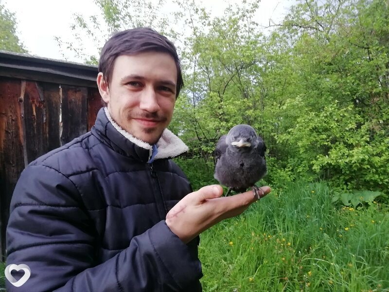 Николай, 35, Егорьевске — анкета №733108