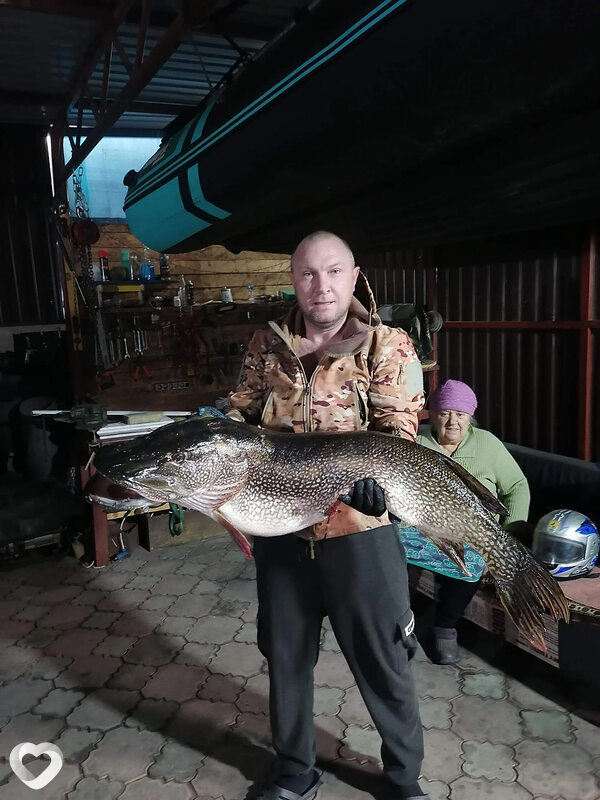 Отдых, 41, Абакане — анкета №733760