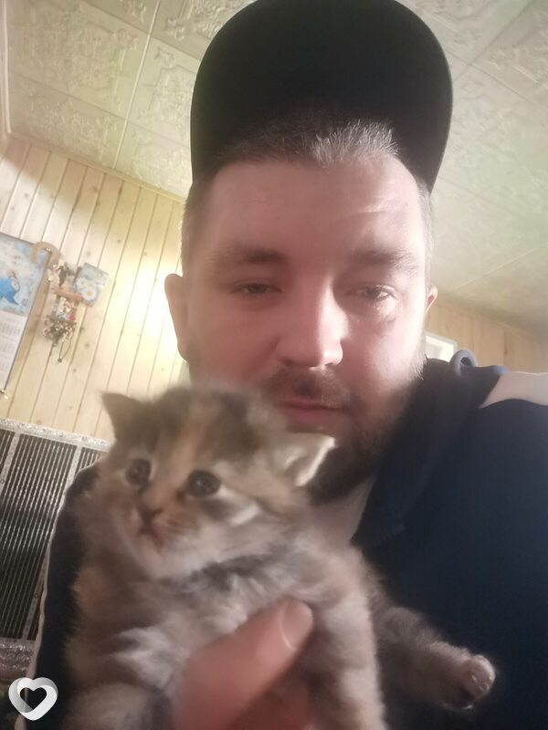 Денис, 37, Нижневартовске — анкета №735082