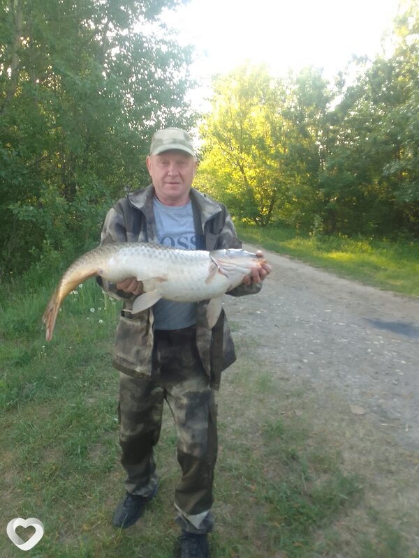 Борис, 56, Мысках — анкета №735981