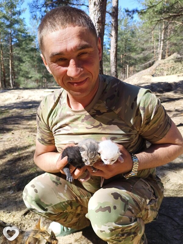 Север, 43, Белолуцке — анкета №736101