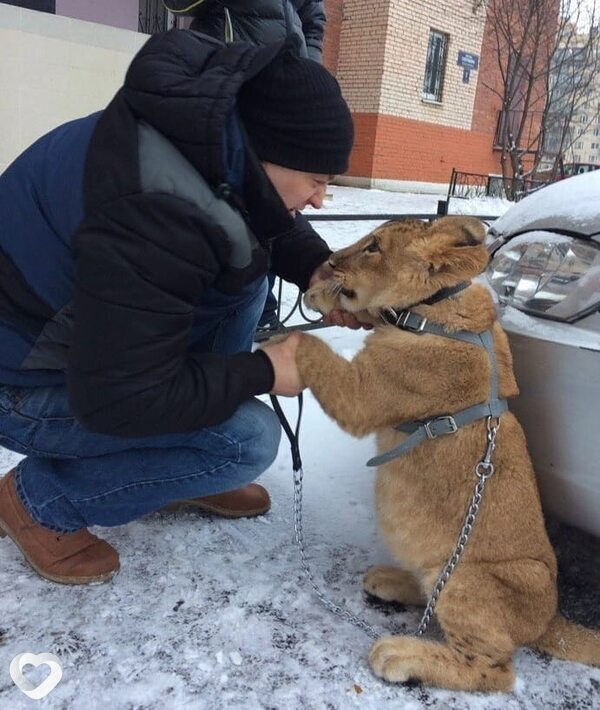 Владимир, 50, Санкт-Петербурге — анкета №736347